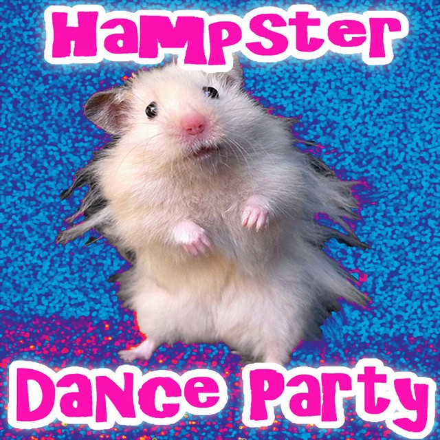 Hampton the Hamster